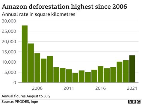 What Companies Cause The Most Deforestation